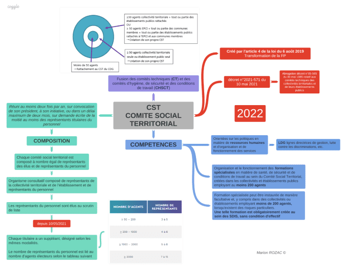 COMITE SOCIAL TERRITORIAL