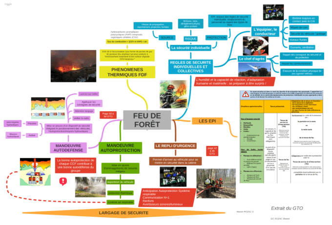 FEU DE FORET GTO