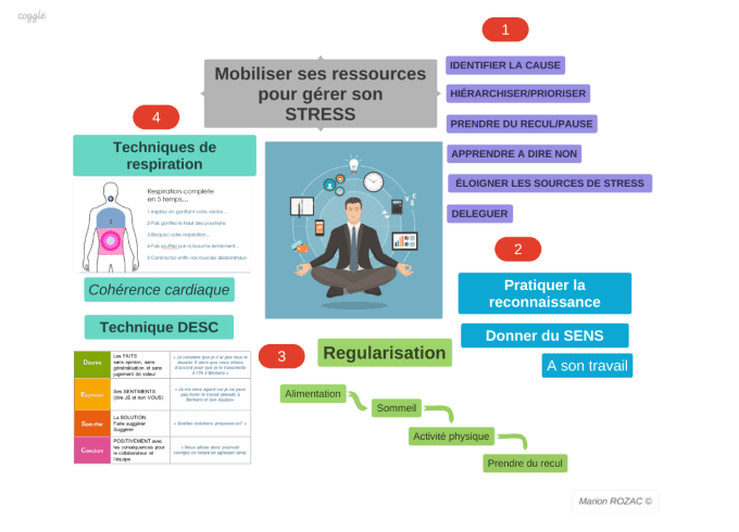 MOBILISER SES RESSOURCES POUR GERER LE STRESS