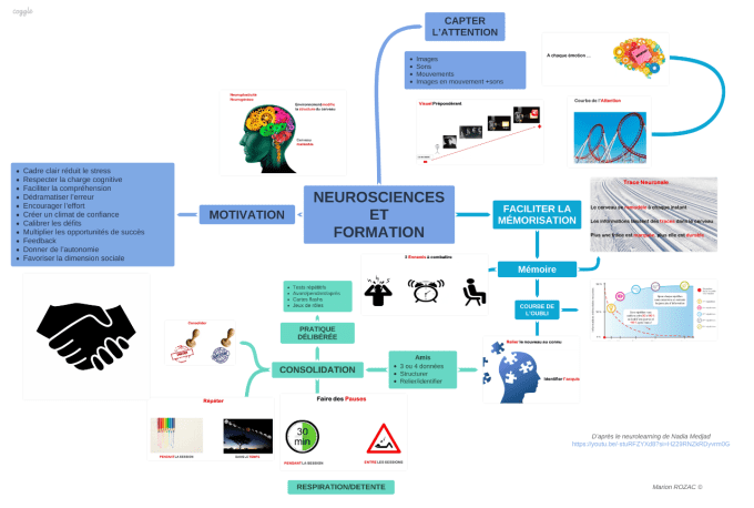 NEUROSCIENCES ET FORMATION